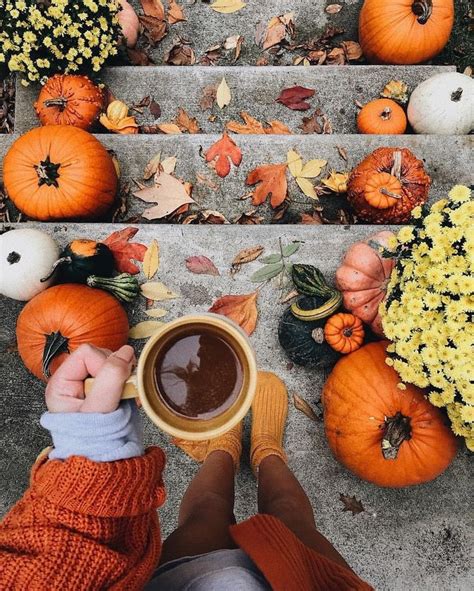 autumn halloween vibes|autumn vibes.